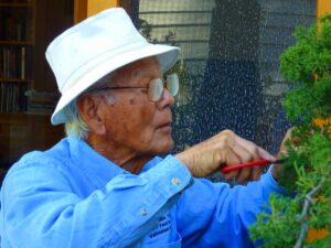 MASTER on duty: Frank Goya working on a bonsai. He will be giving a talk in the Pacific Palisades on Saturday. (Photo courtesy Lloyd Garver)