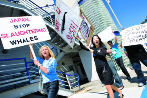 Protestors march outside sushi restaurant The Hump back in 2010 after learning the owner and two chefs were accused of selling endangered whale meat. (File photo)