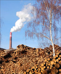 Biomass can be a part of the effort to cut back on fossil fuels, but only if it is harvested and used in ways that reduce pollution, cut emissions and protect forests. Pictured: A biomass-burning power plant. (Photo courtesy iStockPhoto)