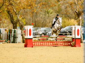 A member of the Malibu High equestrian team in action.  (Photo by Cynthia Slawter)