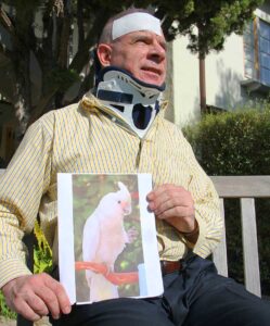 OLD BUDDIES: Peter D'Amico holds a picture of his missing parrot Mac at his apartment complex on California Avenue on Tuesday. (Daniel Archuleta daniela@www.smdp.com)