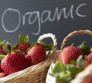 BENEFITS: Changing perceptions about just how much healthier organic foods are than non-organic foods are impacting the growth of the sector. But even if the personal health benefits of eating organic aren't significant or clear, the environmental advantages of organic agriculture still make the practice well worth supporting. (Photo courtesy iStockPhoto)