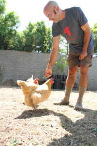 Juan Lopez feeds his chickens in his Oak Street backyard on Thursday. (Photos by Daniel Archuleta daniela@www.smdp.com)