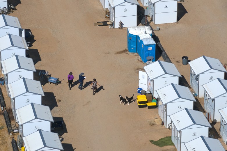 People and dogs walking between pallet shelters at an emergency non-congregate housing site in Chico on Sept. 6, 2023. Photo by Fred Greaves for CalMatters