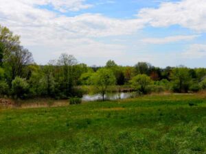 Several organizations help private landowners create legal protections against commercial development on their lands, which aren't just those our housesare onbut includecommercial, industrial and agricultural lands, too. Pictured: The Gwynedd Wildlife Preserve in Ambler, Pennsylvania. It's fields are being restored and protected after overa century of agricultural use. (Photo courtesy amdougherty/Flickr)