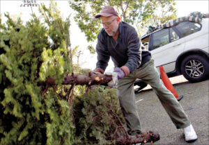 Jo Alyea drops off his used Christmas tree at the tree recycling spot at Clover Park last year. (File photo)