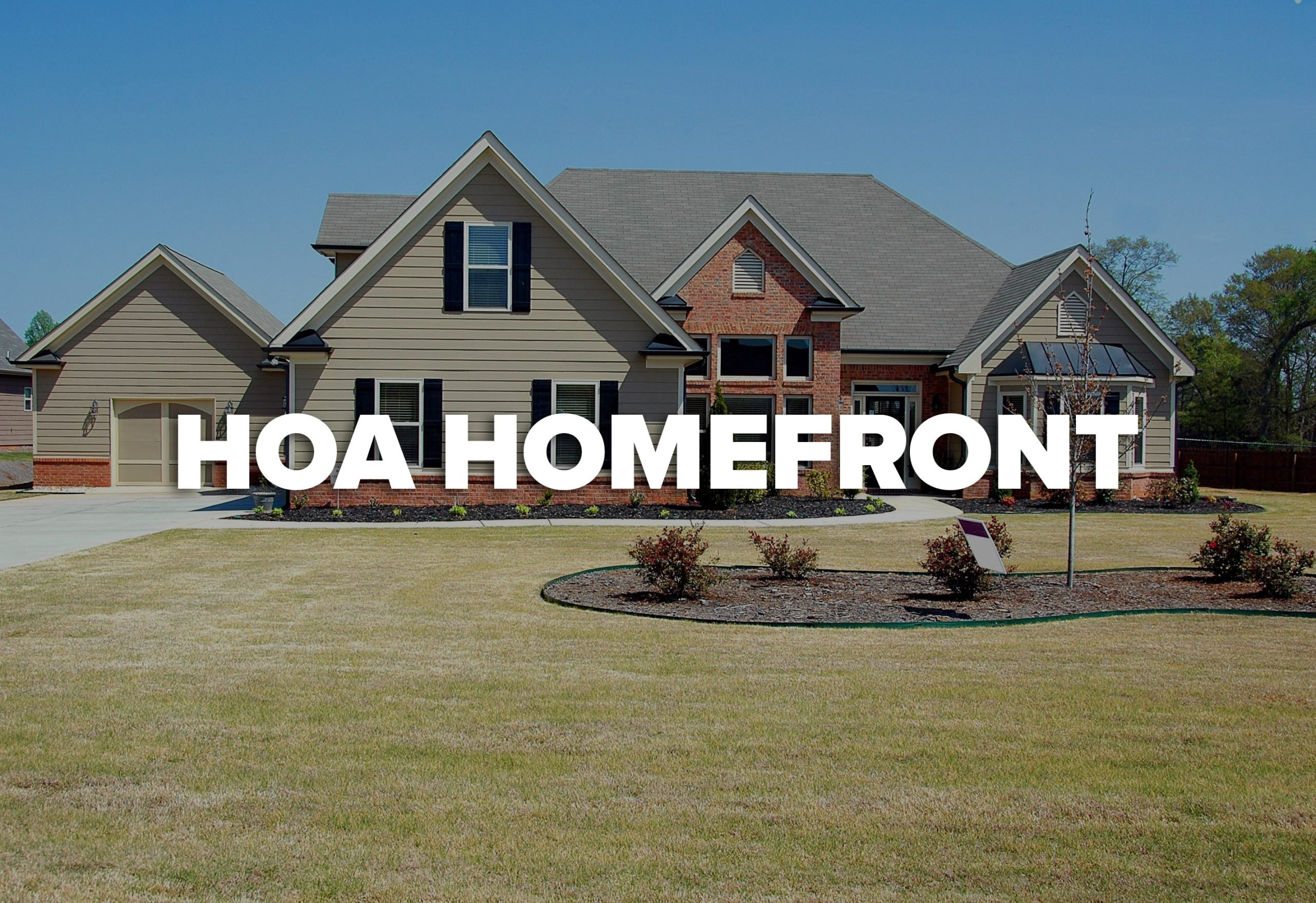 HOA Homefront: Don’t Delay Preventing Termite Damage - Santa Monica ...