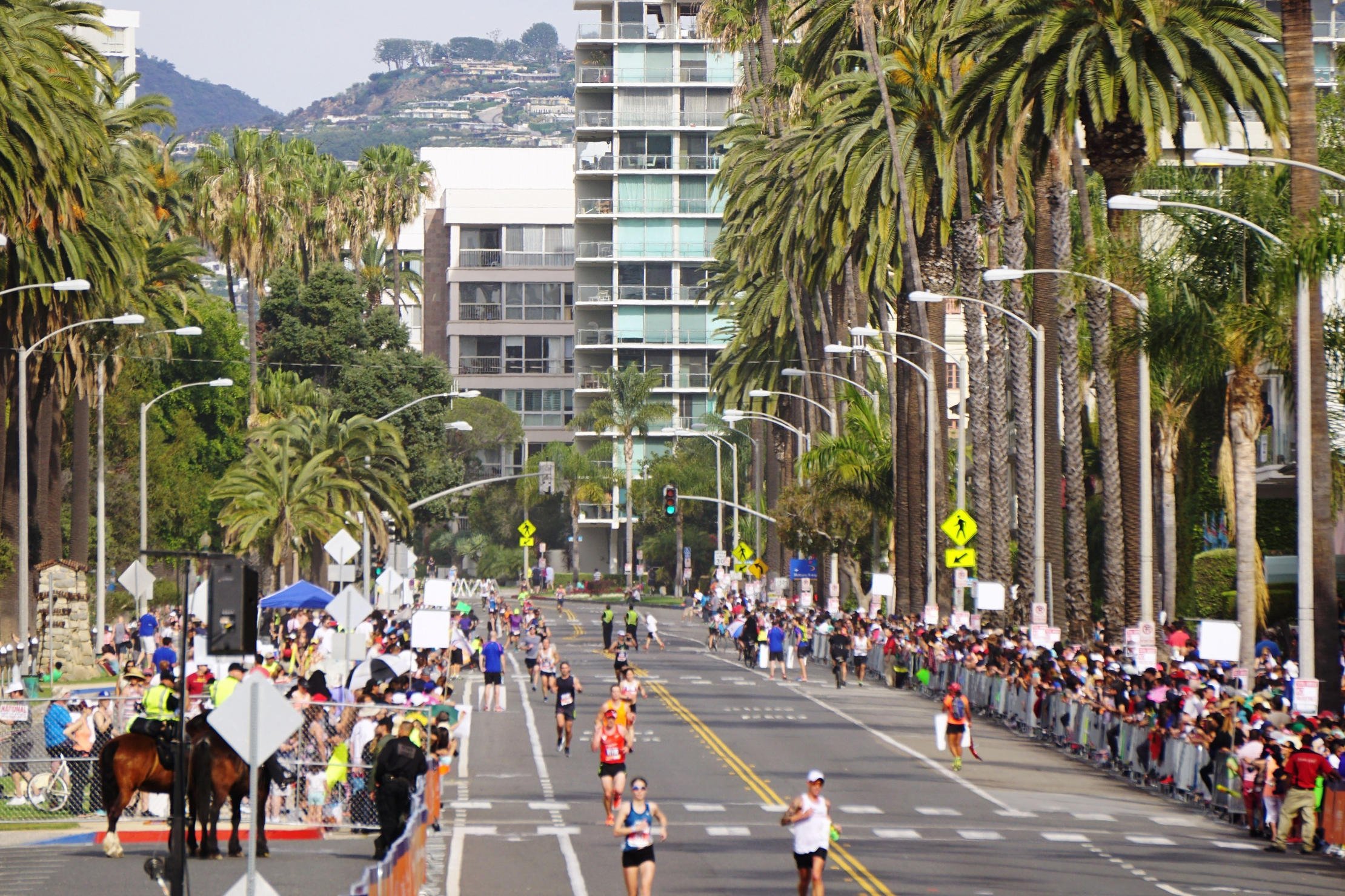 Los Angeles Marathon expected to pack Downtown on Sunday Santa Monica