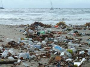 Urban runoff litters the beach following a rainstorm. (File photo)